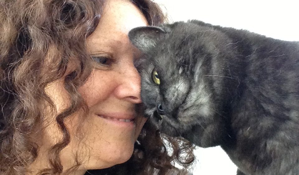 An Interview with the Late Dr Sophia Yin by Anita Kelsey (Cat Behaviourist) | Vet Index